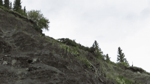 Car drives off of cliff,(improved)