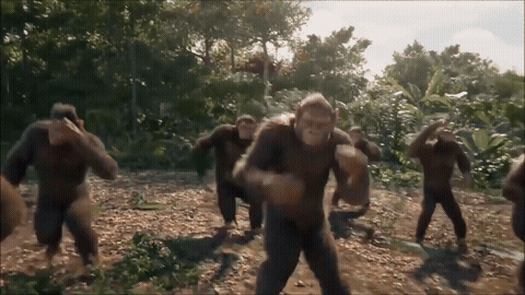 Dancing monkeys