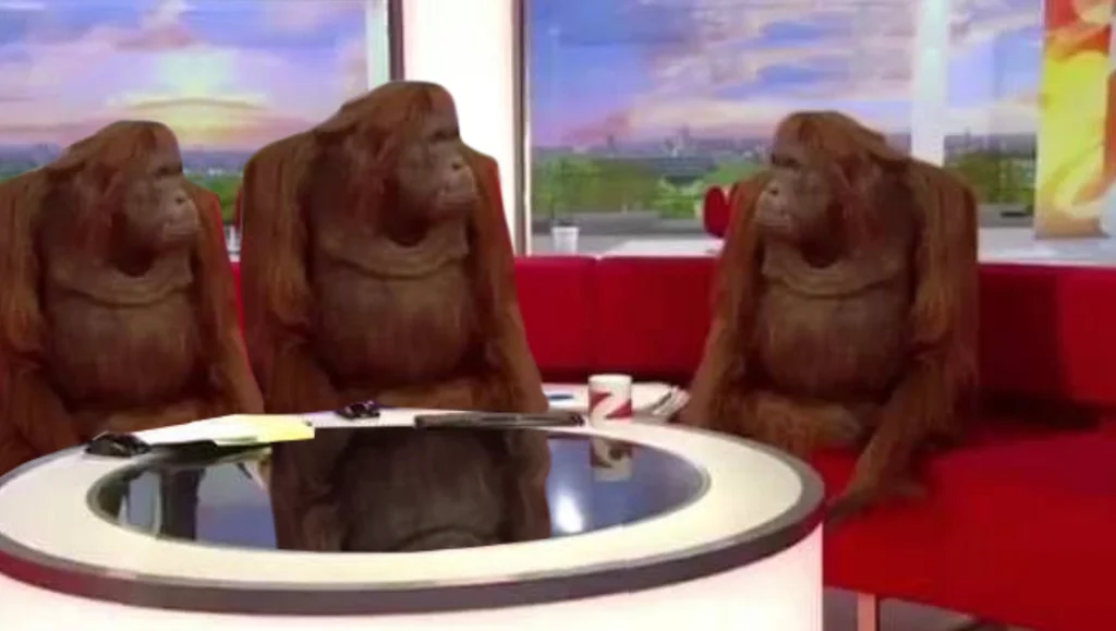 Where monkey