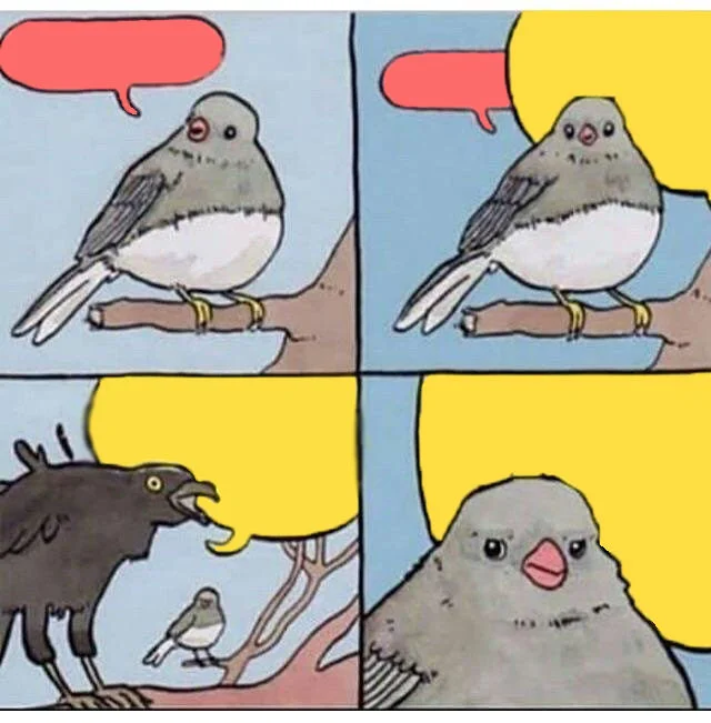 Annoyed bird