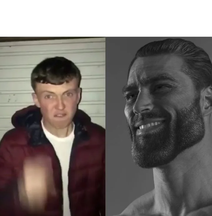 Average Fan vs Average Enjoyer