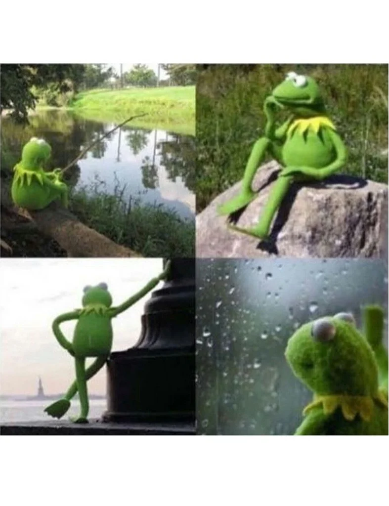 Blank kermit waiting