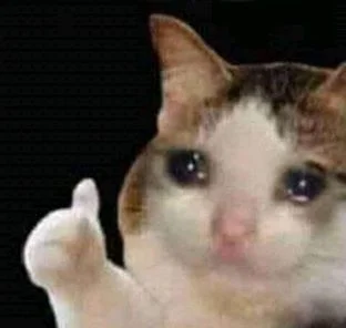 Sad thumbs up cat