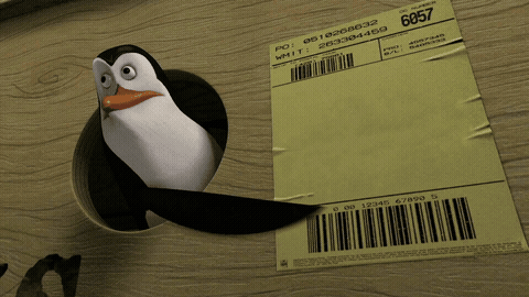 Penguin pointing at shipping label