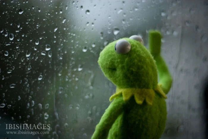 Kermit window