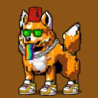 DogePunks #1041