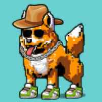 DogePunks #1532