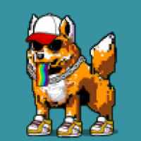 DogePunks #2574