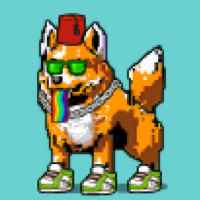 DogePunks #372