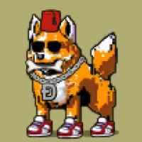 DogePunks #1651