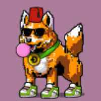 DogePunks #1307