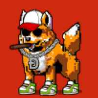 DogePunks #911