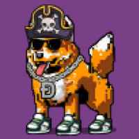 DogePunks #1788