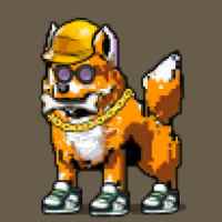 DogePunks #4135