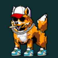 DogePunks #1027