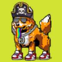 DogePunks #3735