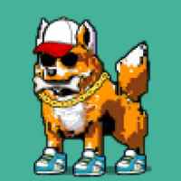DogePunks #4308