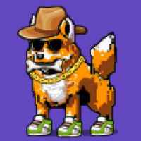 DogePunks #1337