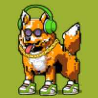 DogePunks #306