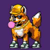 DogePunks #4871
