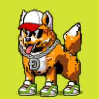 DogePunks #161
