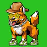 DogePunks #3137