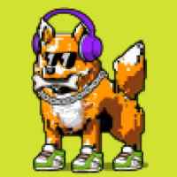DogePunks #1889