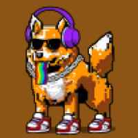 DogePunks #1894