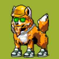 DogePunks #4657