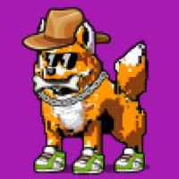 DogePunks #2179