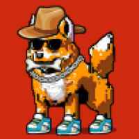 DogePunks #3935