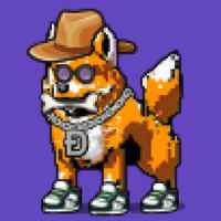 DogePunks #80