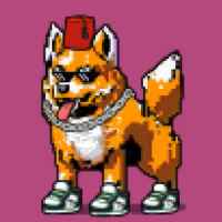 DogePunks #3511