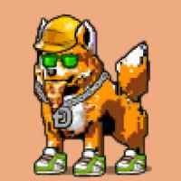 DogePunks #2924