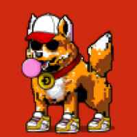 DogePunks #3247