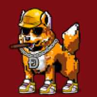 DogePunks #680