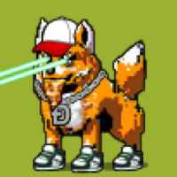 DogePunks #4062