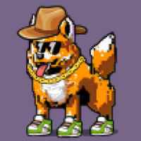 DogePunks #3030