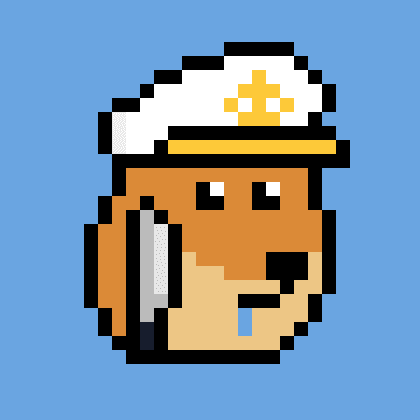 Dogepunk #224