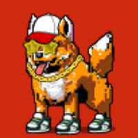 DogePunks #1914