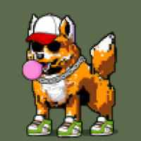 DogePunks #146