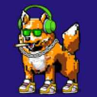 DogePunks #2226