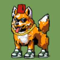 DogePunks #1969