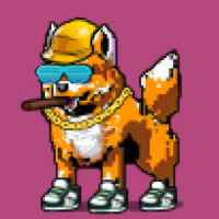 DogePunks #4759