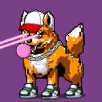 DogePunks #1902