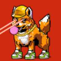 DogePunks #860