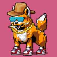 DogePunks #2201