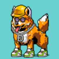 DogePunks #3245