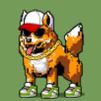 DogePunks #1997