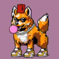 DogePunks #1957